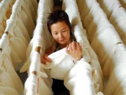Una granjera china supervisa su producción de seda.