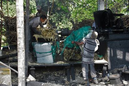 'Tren cañero'. Son camiones con cinco remolques seguidos donde se transporta la caña desde las plantaciones a las plantas procesadoras. 