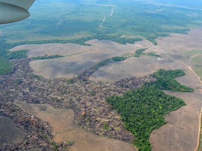 Imágenes aéreas de la deforestación en la Amazonia colombiana.