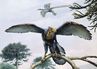 Reconstrucción artística del <i>Archaeopteryx.</i>