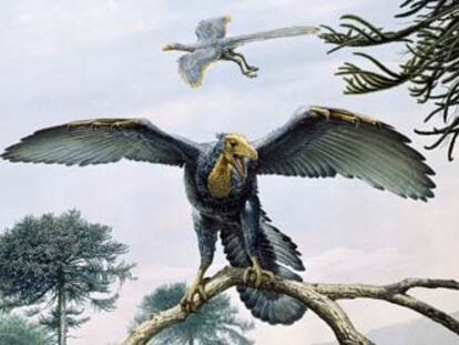 Reconstrucción artística del <i>Archaeopteryx.</i>