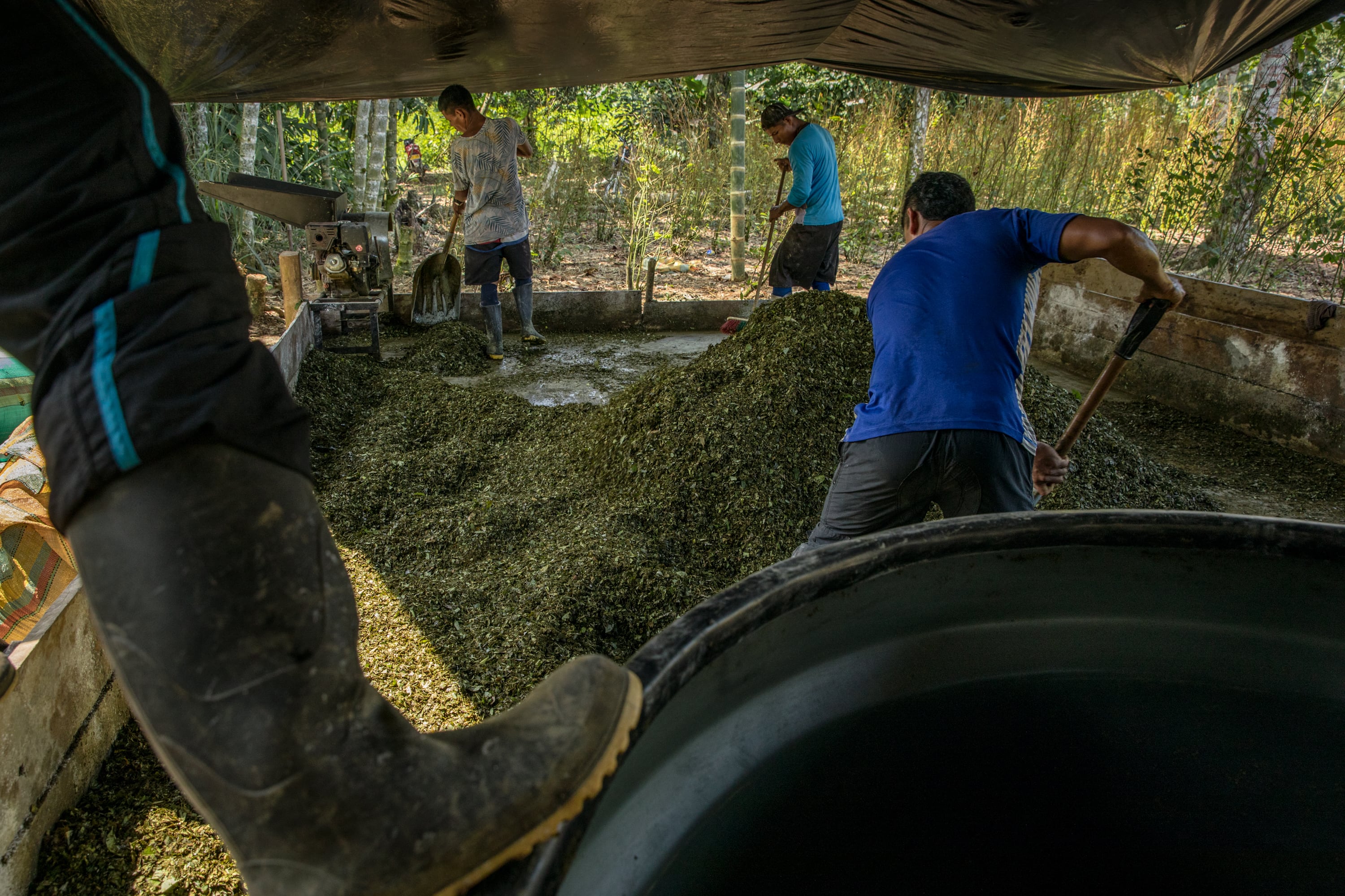 Trabajadores en producción de pasta base de coca.