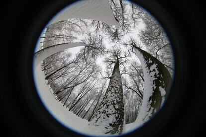 Imagen tomada con una lente ojo de pez de un parque el Minsk, Bielorusia.