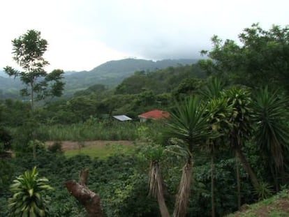 Costa Rica quer ser neutra em carbono at&eacute; 2021.
 