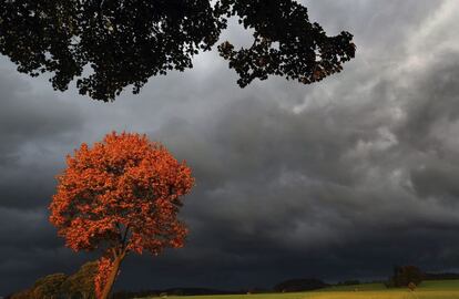 Nubes de tormenta se ciernen sobre un árbol cerca de Genachhausen (Alemania), el 7 de octubre de 2015.