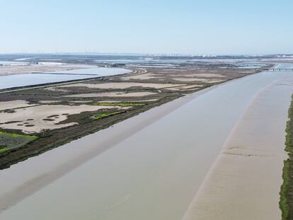 El río Guadalete a su paso por el Parque Natural de la Bahía de Cádiz (El Puerto de Santa María), una de las zonas que se va a intervenir en el proyecto.