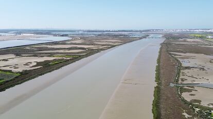 Cádiz UICN