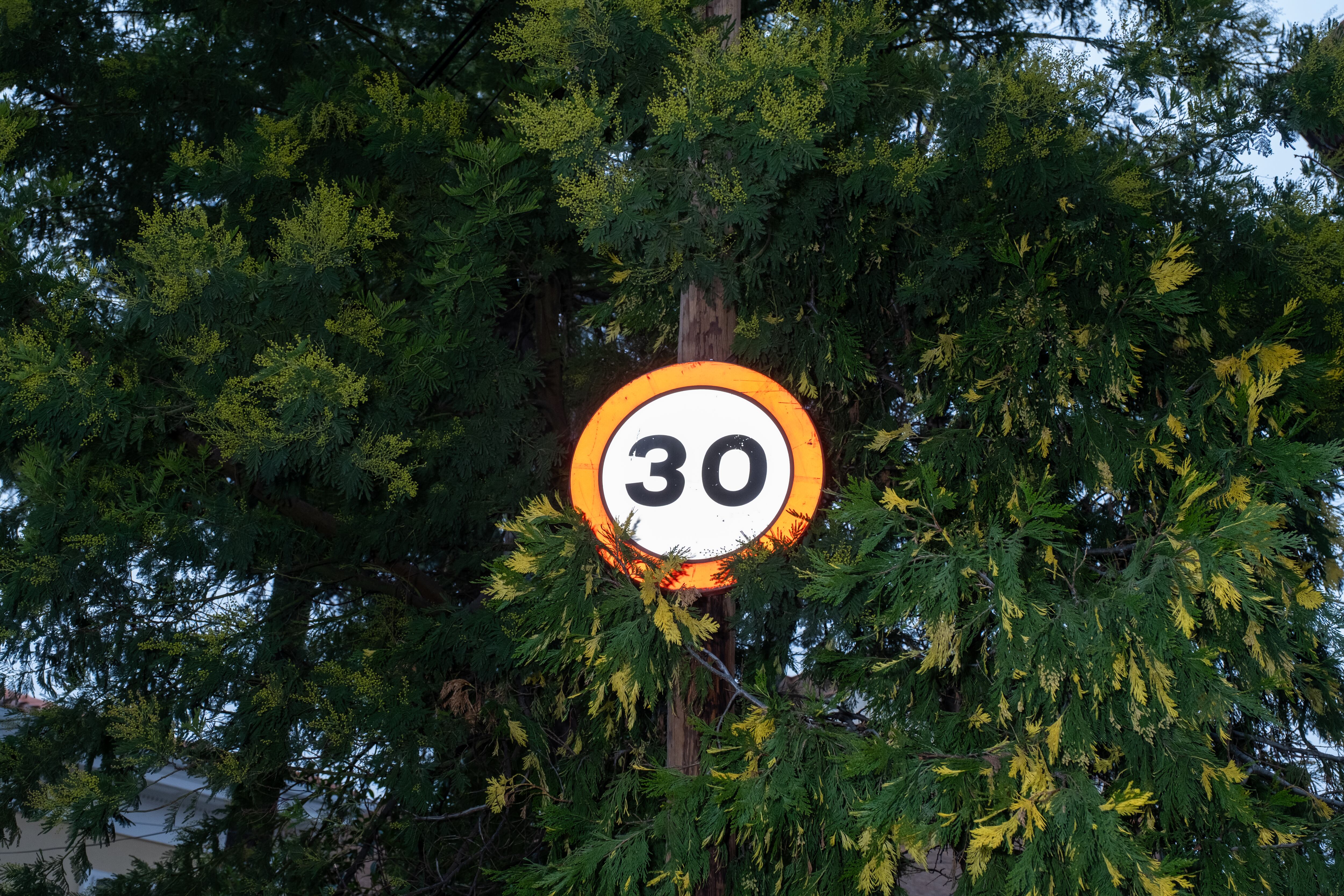 En la colonia, el límite de velocidad para los coches y demás vehículos es de 30 km/h. 