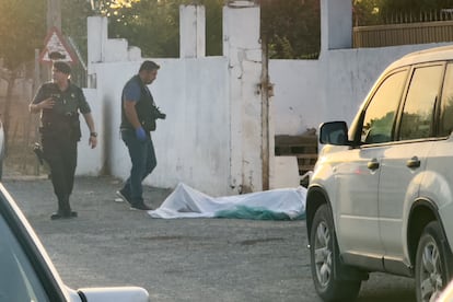 Dos personas han muerto y otra ha resultado herida la tarde de este sábado en un tiroteo registrado en un bar de la urbanización Los Nietos del municipio de Carmona (Sevilla).