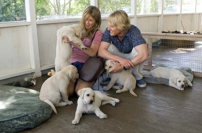 'Marley y yo' (David Frankel, 2008).

	Un perro de raza Labrador compartiendo las alegrías y tristezas de una pareja formada por Jennifer Aniston y Owen Wilson en los soleados paisajes de Florida. La comedia romántica encontraba su filón más emotivo con la ayuda inestimable del can y nos hacía derramar alguna que otra lágrima.