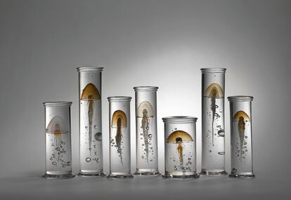 Instalación de medusas de vidrio soplado del danés Steffen Dam.