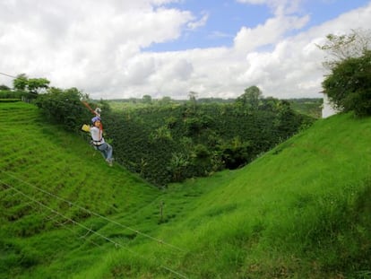 Una turista cruza en tirolina un campo de cafetales en la hacienda Bosque del Samán, en Colombia.