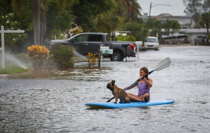 Lily Gumos, de 11 años, navega en kayak con su bulldog francés en St. Pete Beach, Florida, después del paso del huracán Idalia.