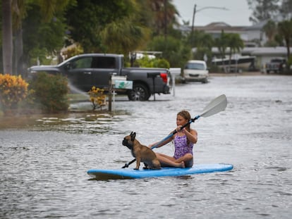 Lily Gumos, de 11 años, navega en kayak con su bulldog francés en St. Pete Beach, Florida, después del paso del huracán Idalia.