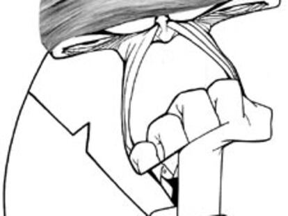 Caricatura de Arsene Wenger