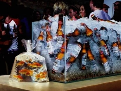 Budweiser