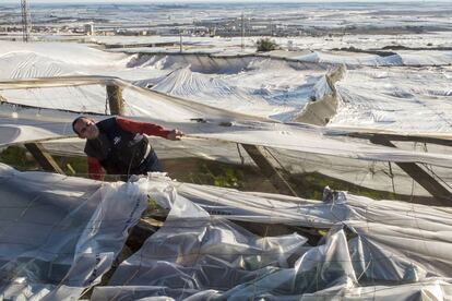 Los plásticos cubren un invernadero con calabacines en El Ejido (Almería)