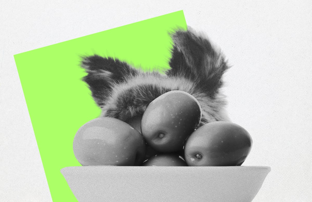 ¿Cinco olivas a cinco euros? De la experiencia gastronómica a la realidad del plato