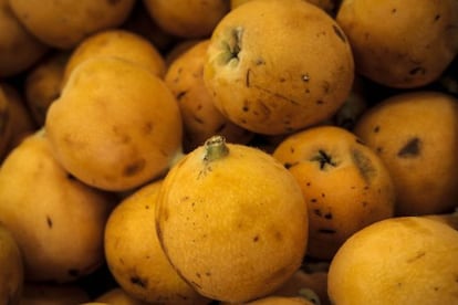 Los frutos de la tierra.