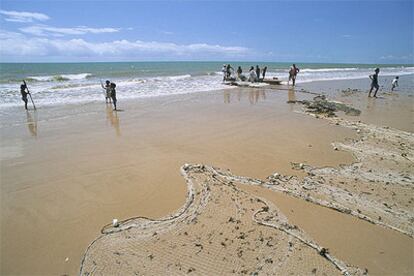 Un grupo de pescadores, con sus redes y embarcaciones, en una playa del Estado de Alagoas, al noreste de Brasil.