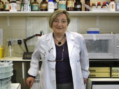 La oncóloga Ana Lluch en un laboratorio del Hospital Clínico de Valencia en una foto de archivo.