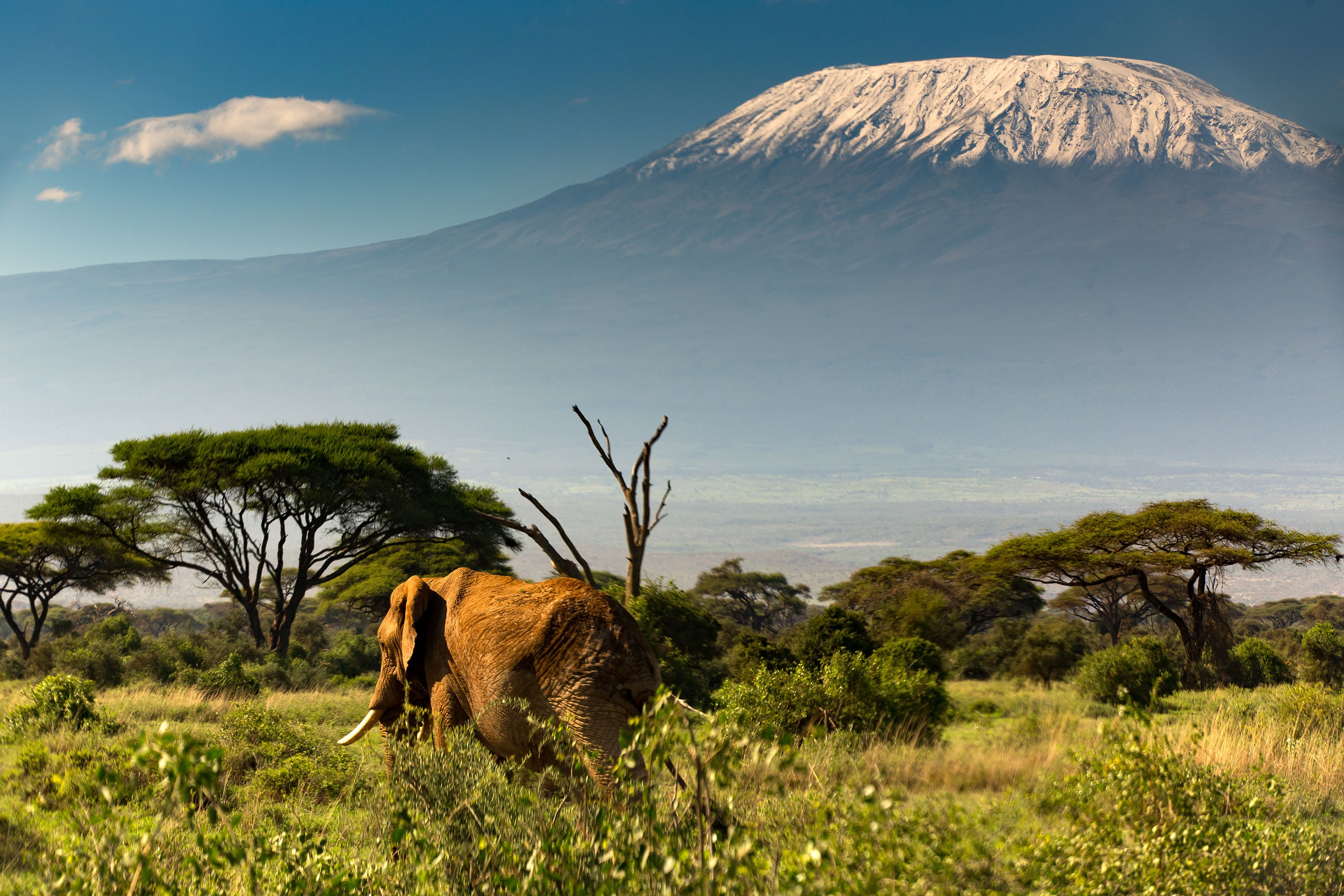 ‘Pole pole’ hasta la cima del Kilimanjaro: siete días para conquistar el techo de África