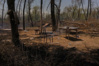 Los restos de una casa totalmente destruida por el fuego en los humedales del Delta del Paraná.