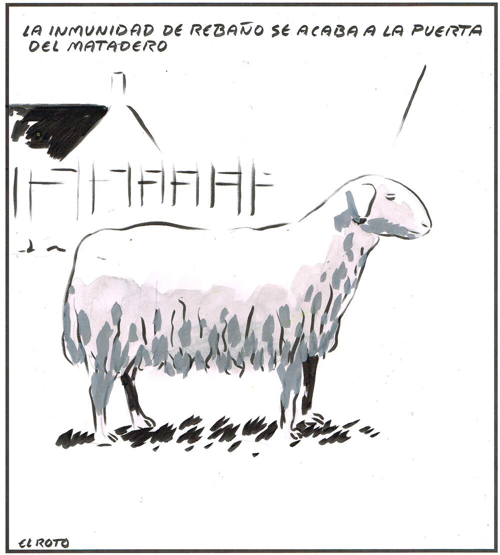 El Roto | Opinión | EL PAÍS