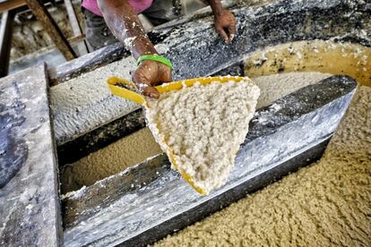 Hoy, esta empresa da trabajo a más de 120 personas, con dos sedes más pequeñas en Kandalama y Rangirigama, además de muchas tiendas repartidas por todo el país. La pasta de papel que se ha obtenido mezclando el estiércol de elefante y papel reciclado tiene una textura parecida a la avena.