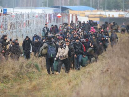 Un grupo de migrantes avanza a lo largo de la frontera entre Bielorrusia y Polonia, en la región de Grodno, el 12 de noviembre.