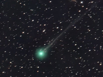 Cometa Nishimura.