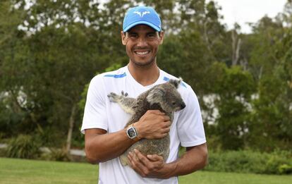 Nadal posa con un koala en su llegada a Brisbane.