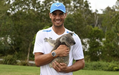 Nadal posa con un koala en su llegada a Brisbane.