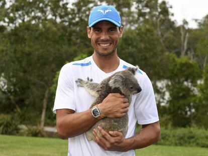 Nadal posa con un koala en su llegada a Brisbane.