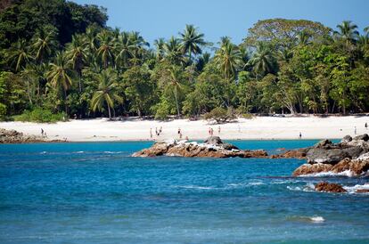 Manuel Antonio (Costa Rica). Una de las más bonitas del país centroamericano y también del mundo. Situada en el parque nacional Manuel Antonio, la arropan frondosos bosques y cocoteros. Además, se puede practicar esnórquel en las zonas más calmadas de la playa y donde hay mayor variedad de especies marinas. 