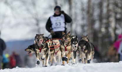 Un trineo tirado por perros durante una carrea en Willow, Alaska.