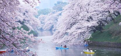 Parque de Tokio.