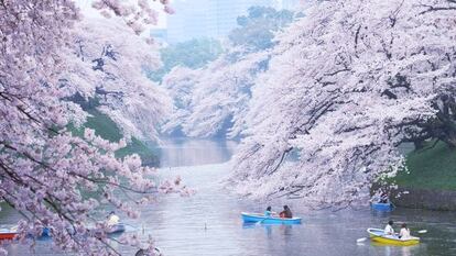 Parque de Tokio.