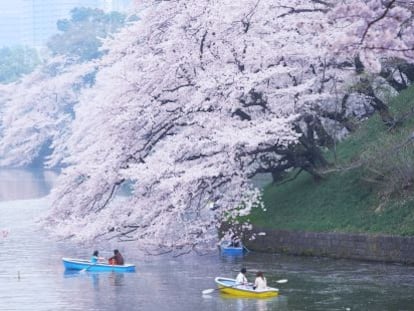 Parque de Tokio.