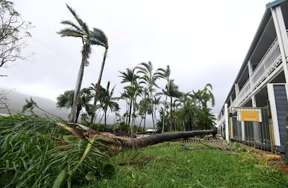 Un árbol tendido al lado de un motel tras haberse caído durante los fuertes vientos causados por el ciclón Debbie en la playa de Airlie, localizada en la ciudad de Townsville (Australia).