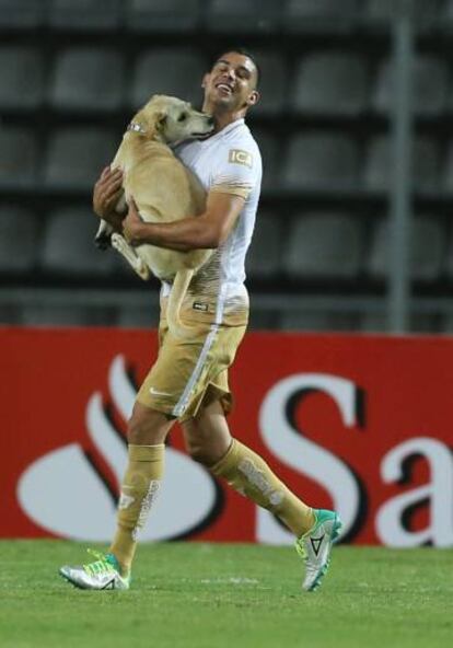 Gerardo Alcoba sacó al perro de la cancha del Polideportivo.