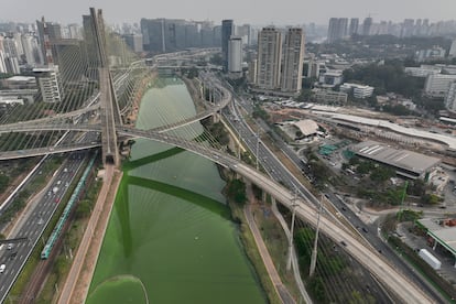 El río Pinheiros en Sao Paulo teñido de verde. La autoridad ambiental del Estado atribuye el tono a una proliferación de algas, resultado de una grave sequía que ha reducido significativamente los niveles de agua. 