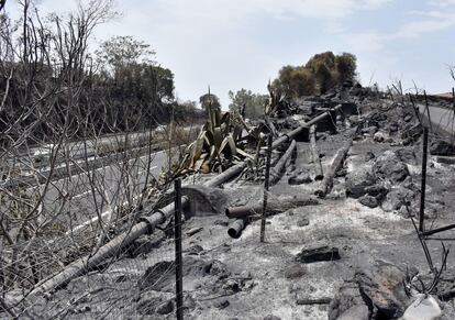 Incendio en Catena, cerca de Catania Italia