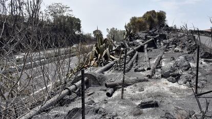 Vista de los daños causados por un incendio en Catena, cerca de Catania (Italia), el pasado 26 de julio.