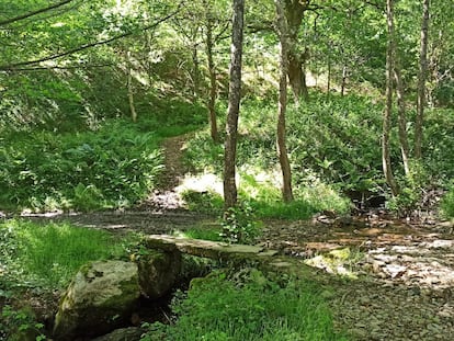 El lugar donde comienza el recorrido, la vía verde Plazaola.