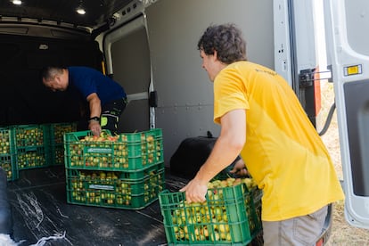 Un trabajador de Espigoladors entrega a la Fundación Áurea las peras recolectadas.