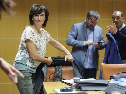 Maite Iturbe, en una de sus comparecencias en el Parlamento.