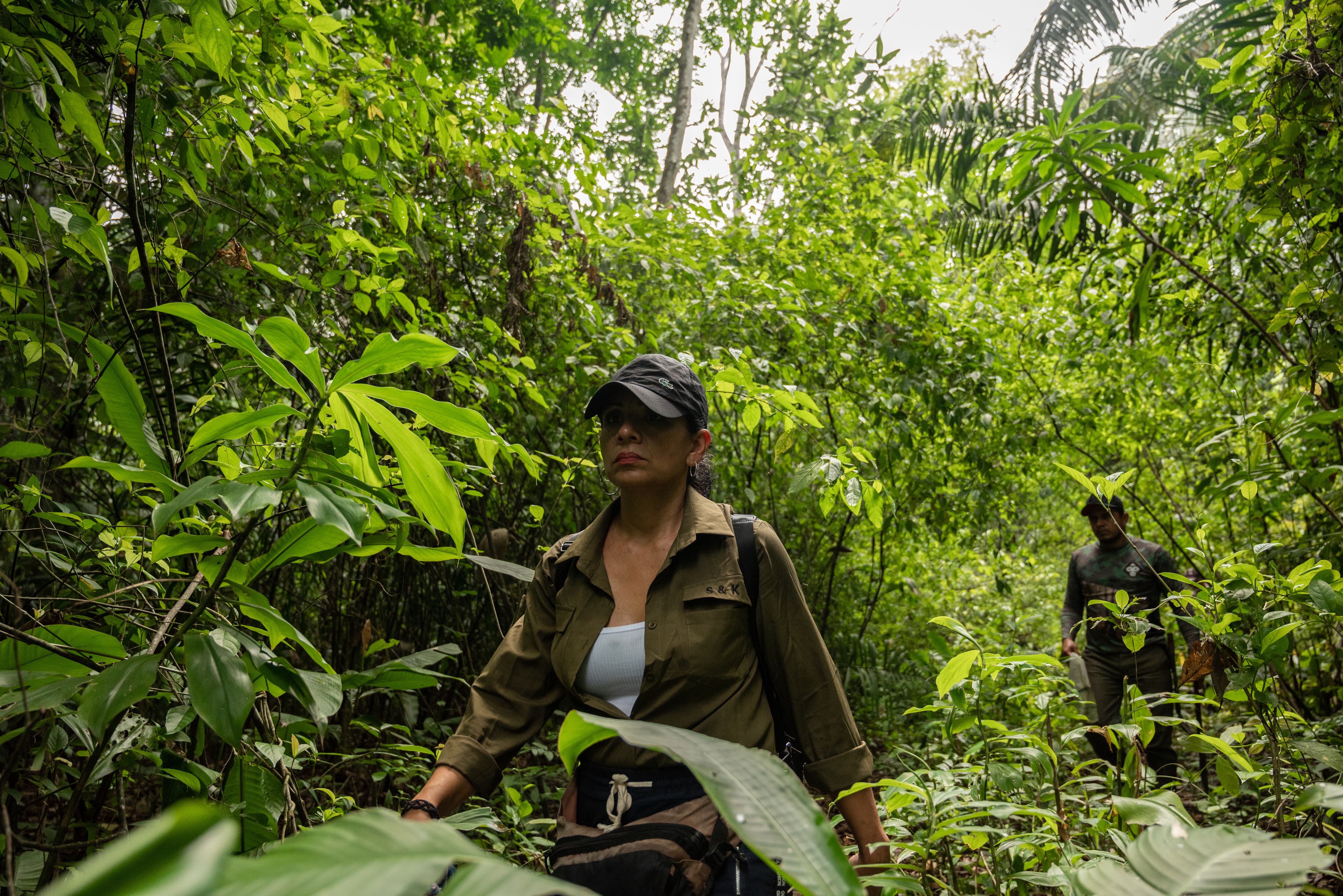  Diana Liz Duque camina por la Reserva Forestal de Caparo.