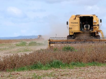 M&aacute;quina colhe alimentos exportados para China.