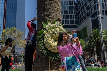 Transeúntes se toman fotografías, abrazan y se despiden de la palma en Ciudad de México, el 24 de abril de 2022.